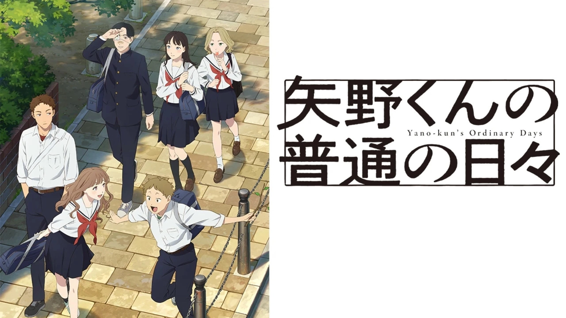 アニメ『矢野くんの普通の日々』の配信はどこで見れる?いつから放送か無料のVODも紹介