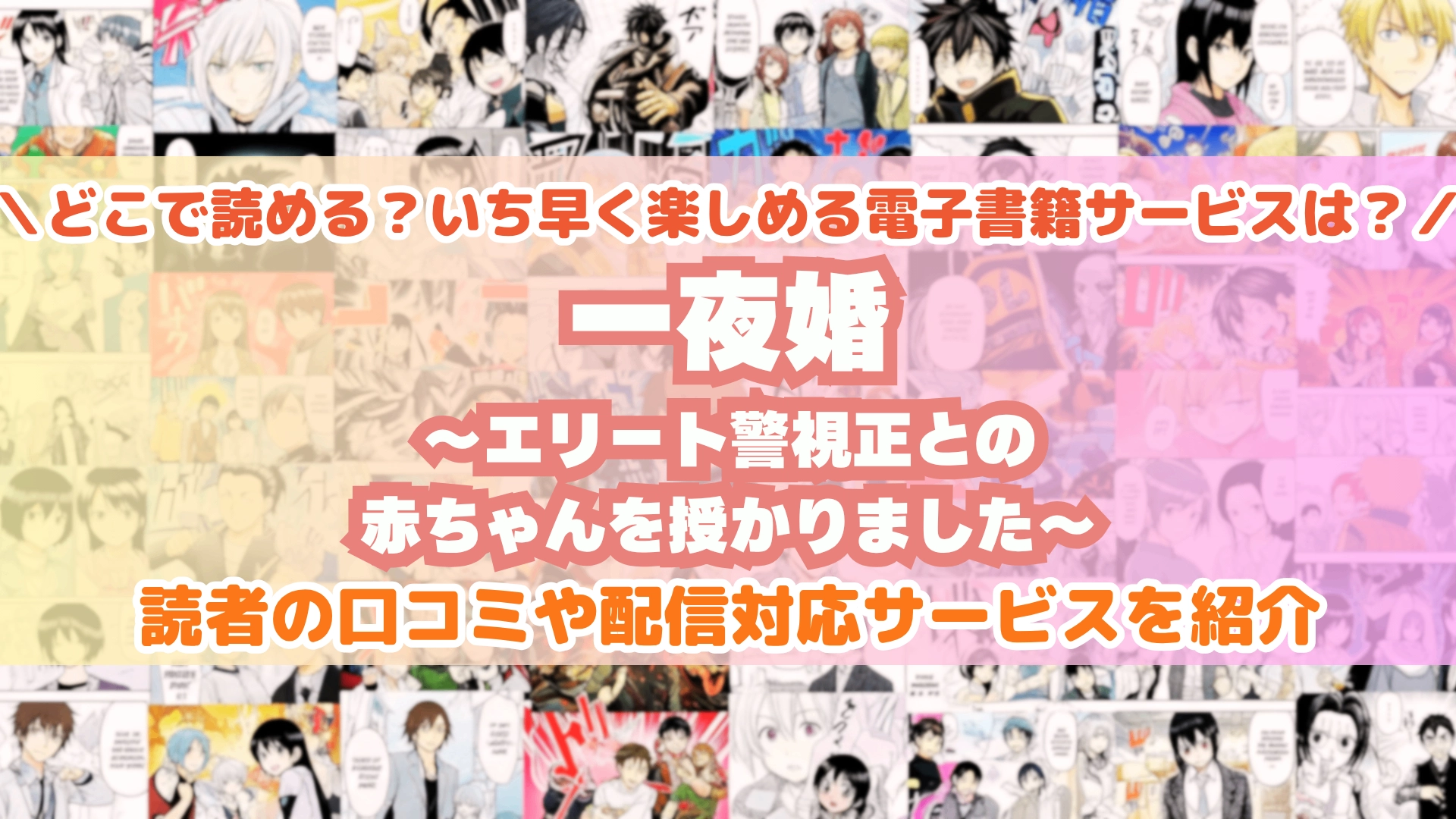 一夜婚～エリート警視正との赤ちゃんを授かりました～