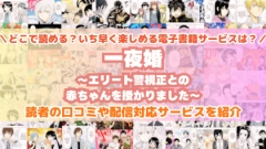 『一夜婚～エリート警視正との赤ちゃんを授かりました～』はどこで読める？あらすじ・見どころと先行独占配信サイトを紹介