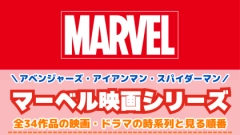 「マーベル映画」の配信を見る順番！MCUシリーズの時系列や対応サブスクを紹介