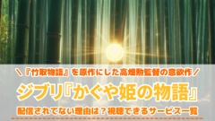 ジブリ『かぐや姫の物語』の配信はどこで見れる？サブスクにない理由とは
