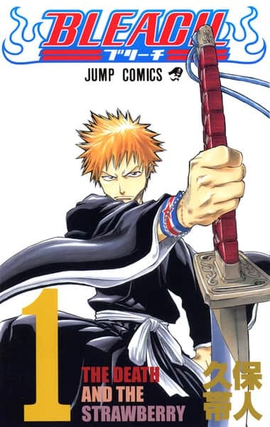 BLEACH BLEACH