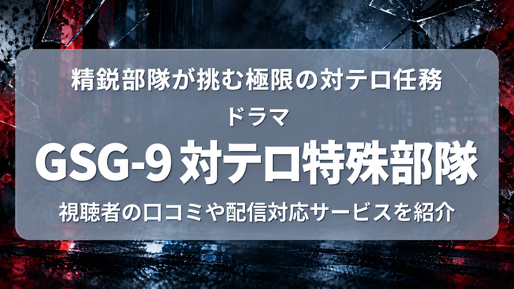 GSG-9 対テロ特殊部隊