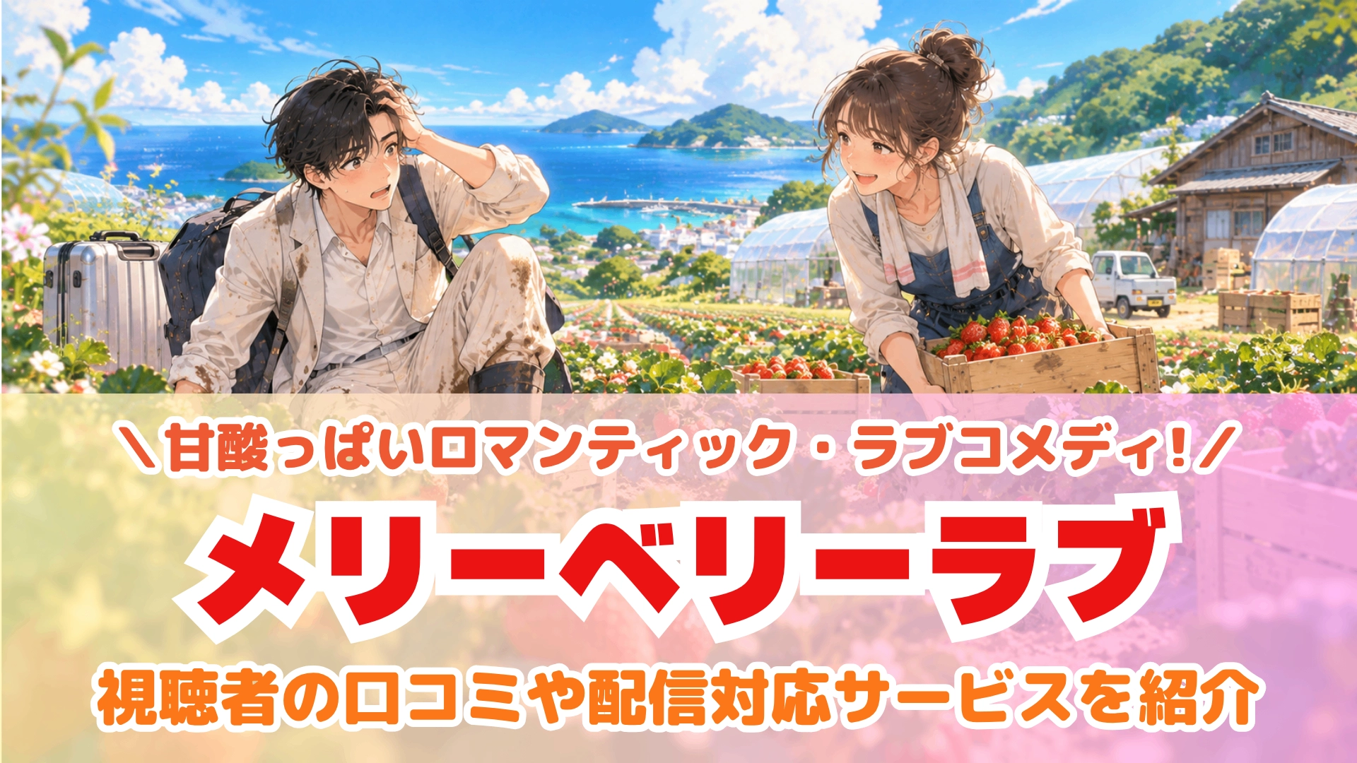 放送局:日本テレビ系
