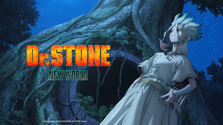 Dr.STONE NEW WORLD